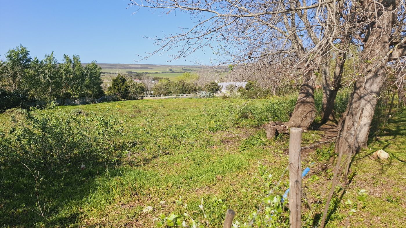 Zaunpfähle und kahle Bäume am Rand der Wiese, dahinter Farmland