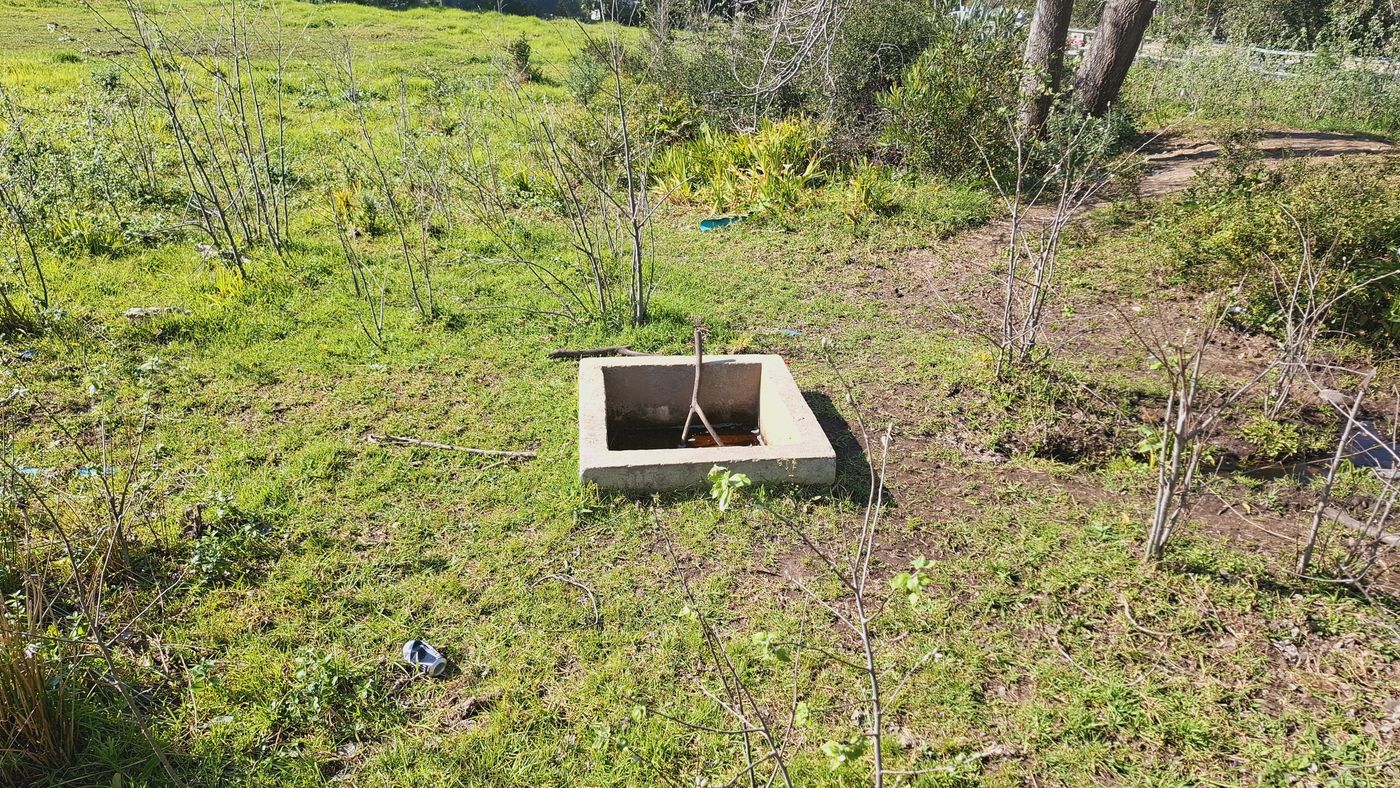 Der Leiwater-Trog aus Beton im Gras
