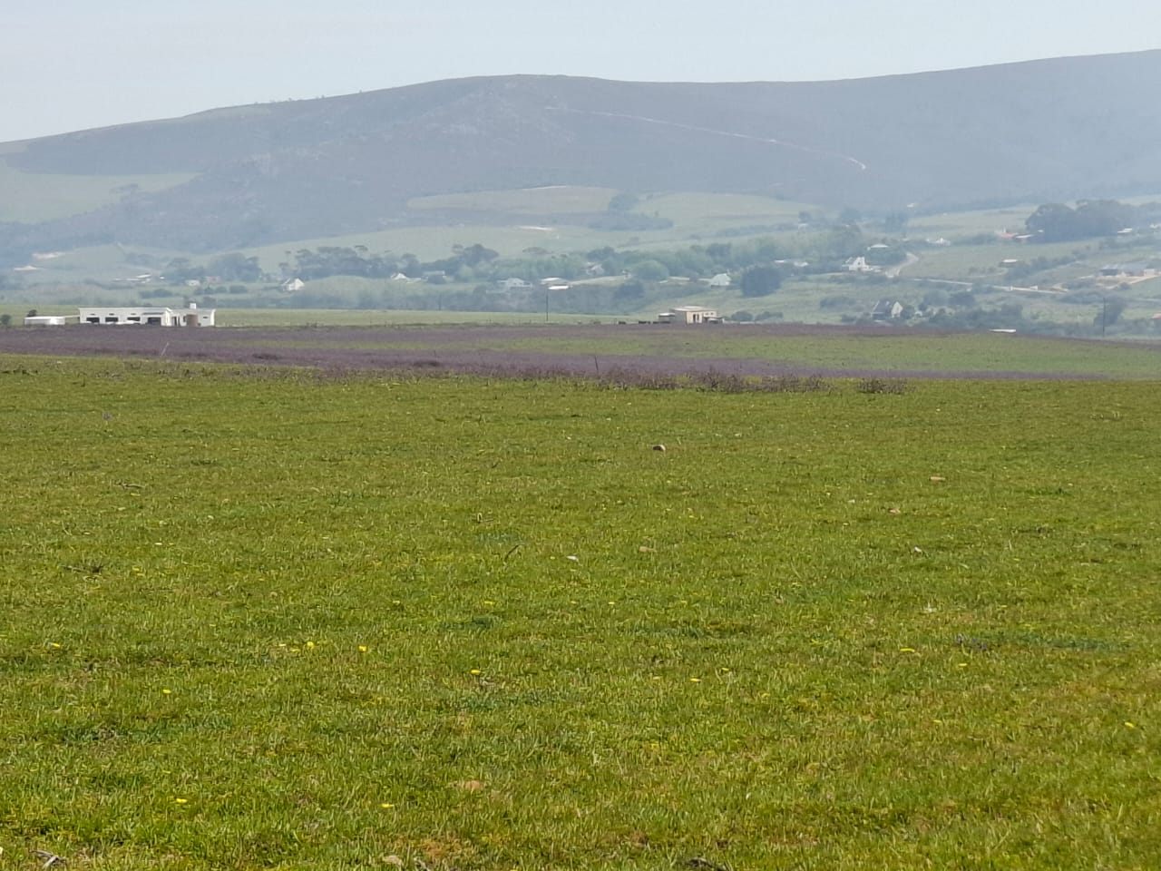 Der Blick nach Norden über die Felder zum Ort Baardskeerdersbos und zu den Koueberge dahinter