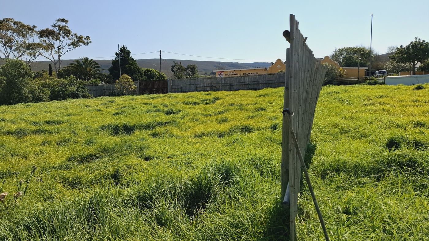 Hohes Gras und eine schiefe Schilfmatte, hinter dem rückwärtigen Zaun der Dorfladen