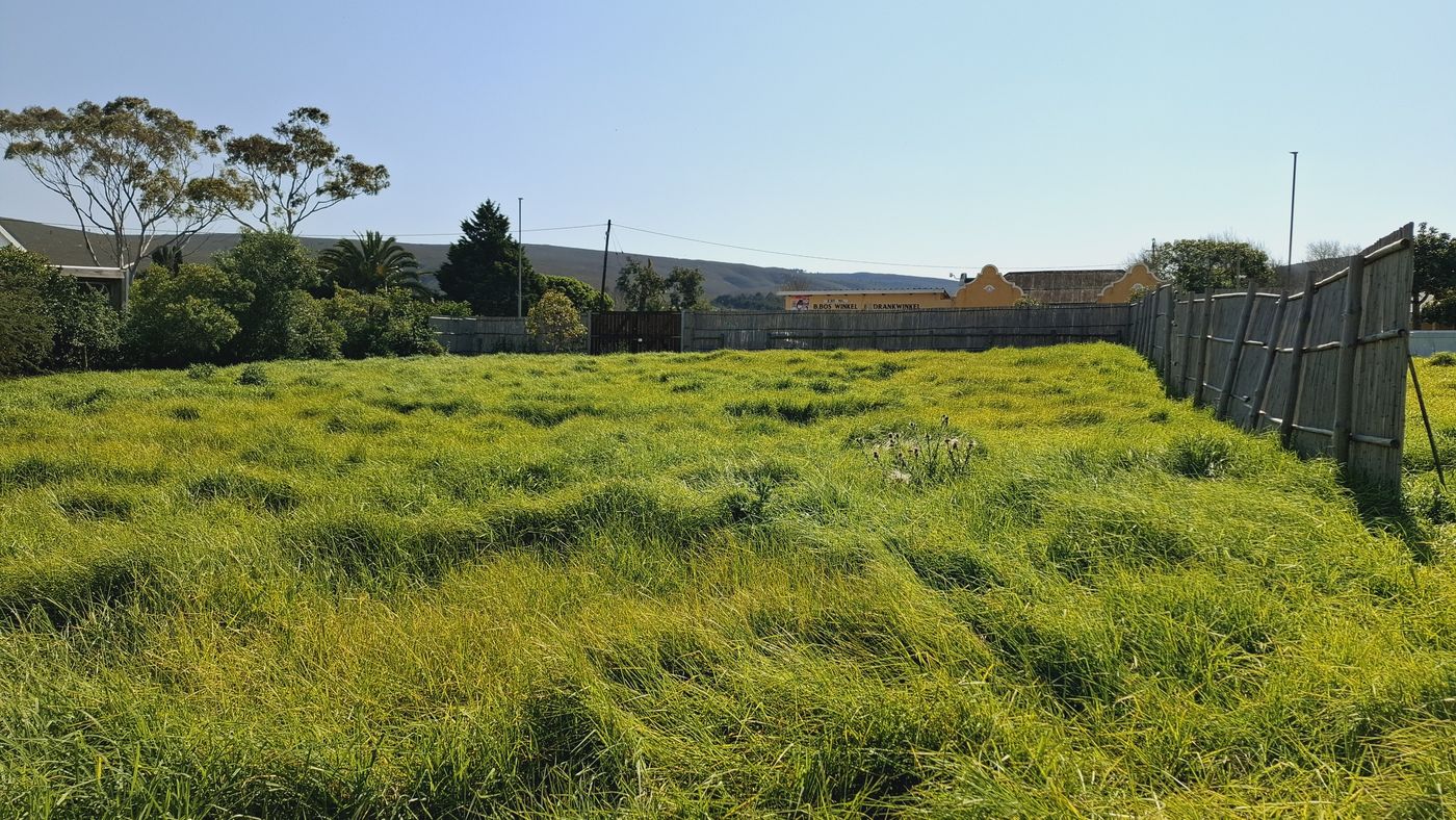 Das Grundstück mit hohem Gras innerhalb seiner Schilfzäune, dahinter der Dorfladen, der Spirituosenladen und die Hügel