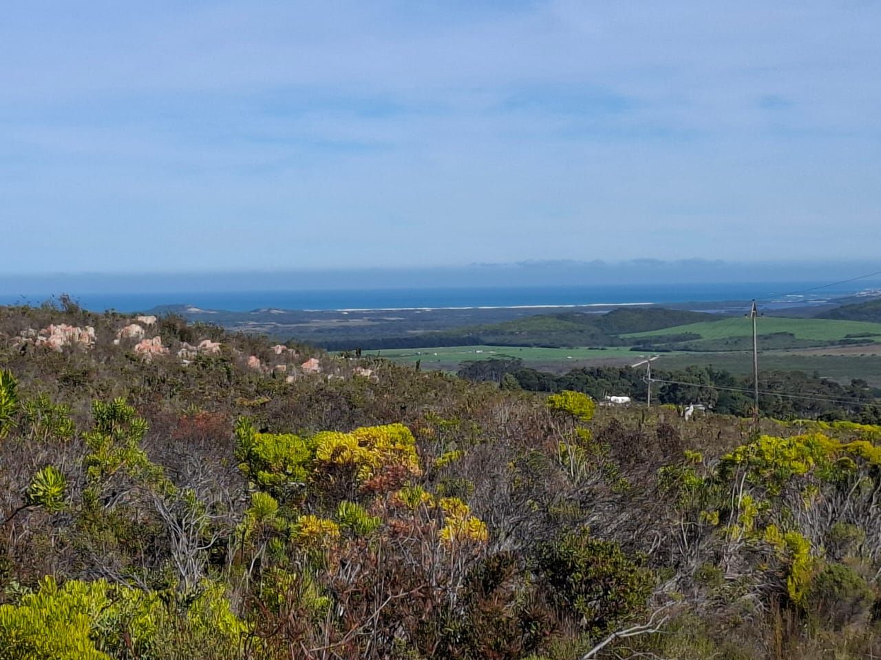 Fynbos und helle Felsvorsprünge am Hang, dahinter die Küste und das Meer
