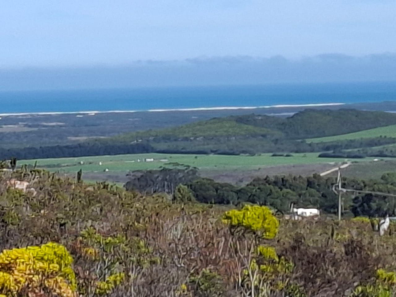 Blühender Fynbos im Vordergrund, dahinter Farmland und ein langer weißer Strand, am Horizont das Meer