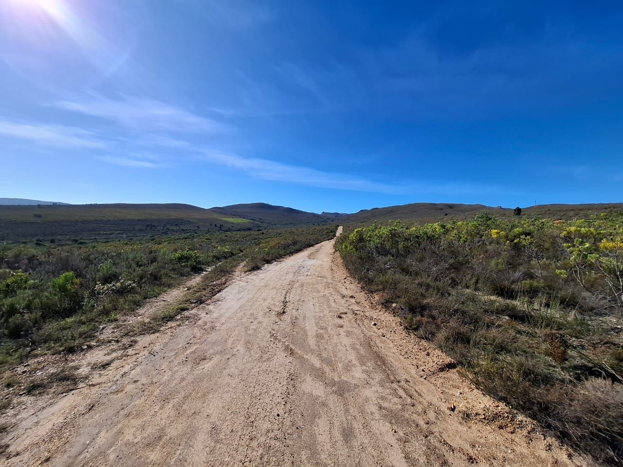 Ein Sandweg, der durch den Fynbos führt