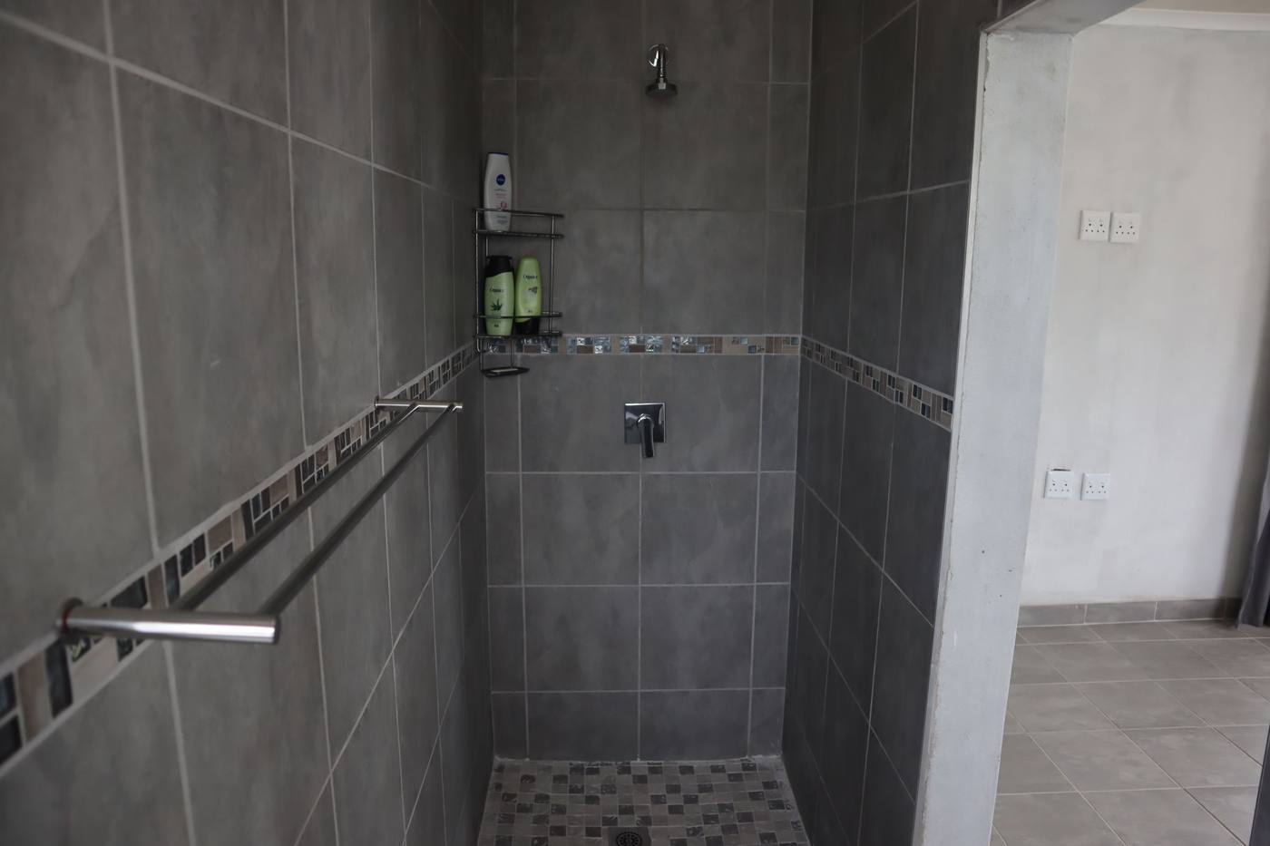 A walk-in tiled shower, with no bath, as in three of the four bathrooms