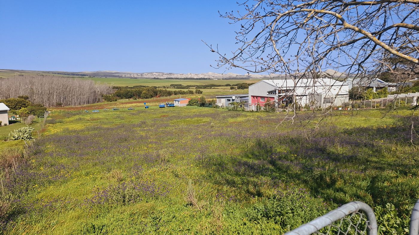Blick vom Tor über das Grundstück zu den Nachbarhäusern und dem Farmland dahinter
