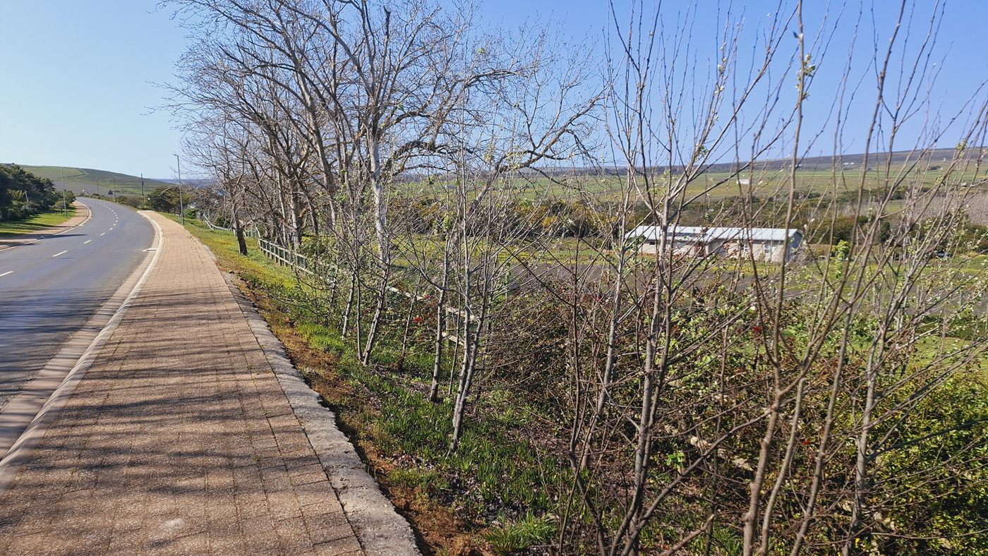 Die Main Road am Grundstück entlang, mit Asphaltbelag und gepflastertem Randstreifen