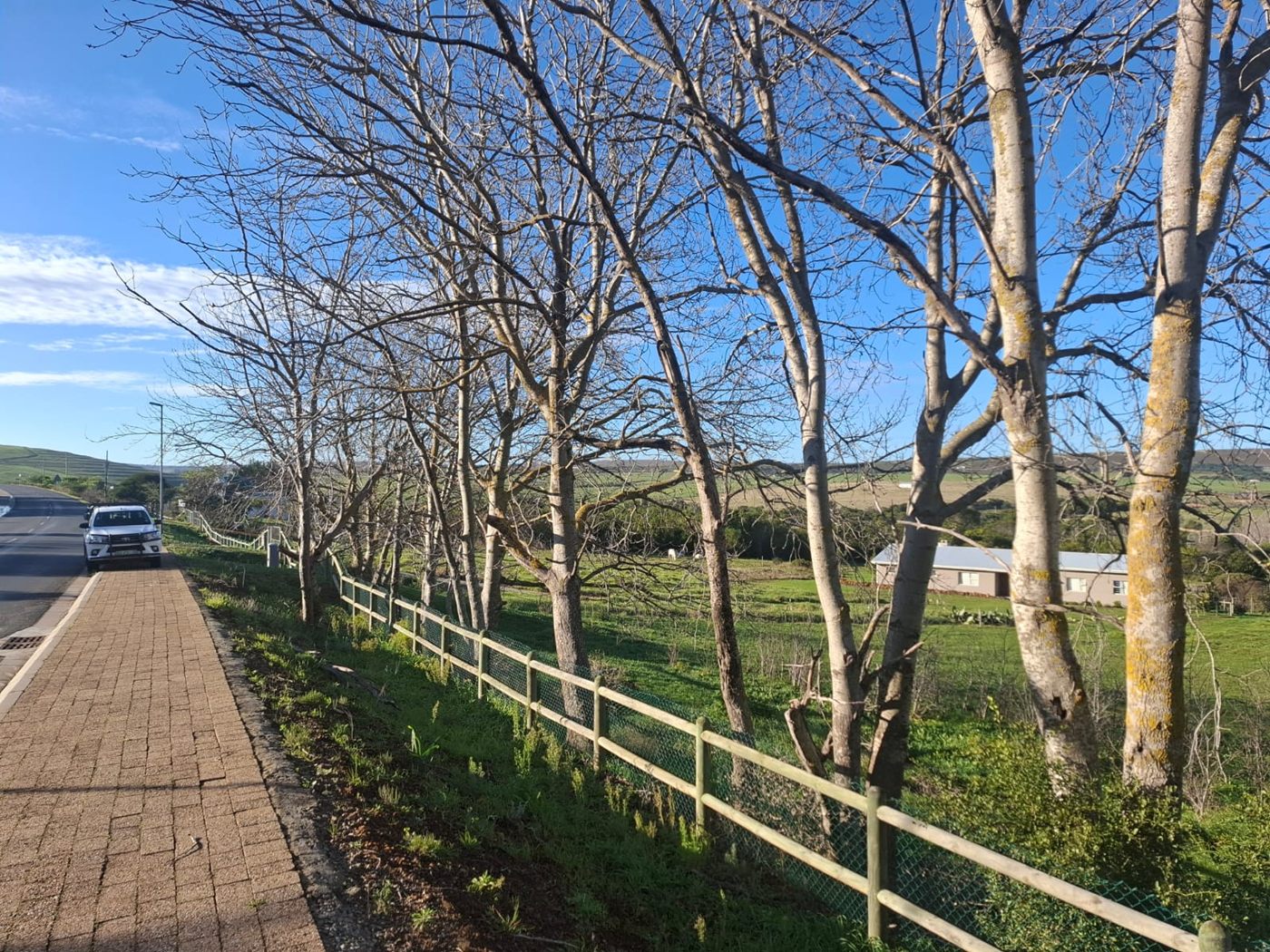 Der Straßenrand am Grundstück, Blick entlang der Main Road durch den Ort