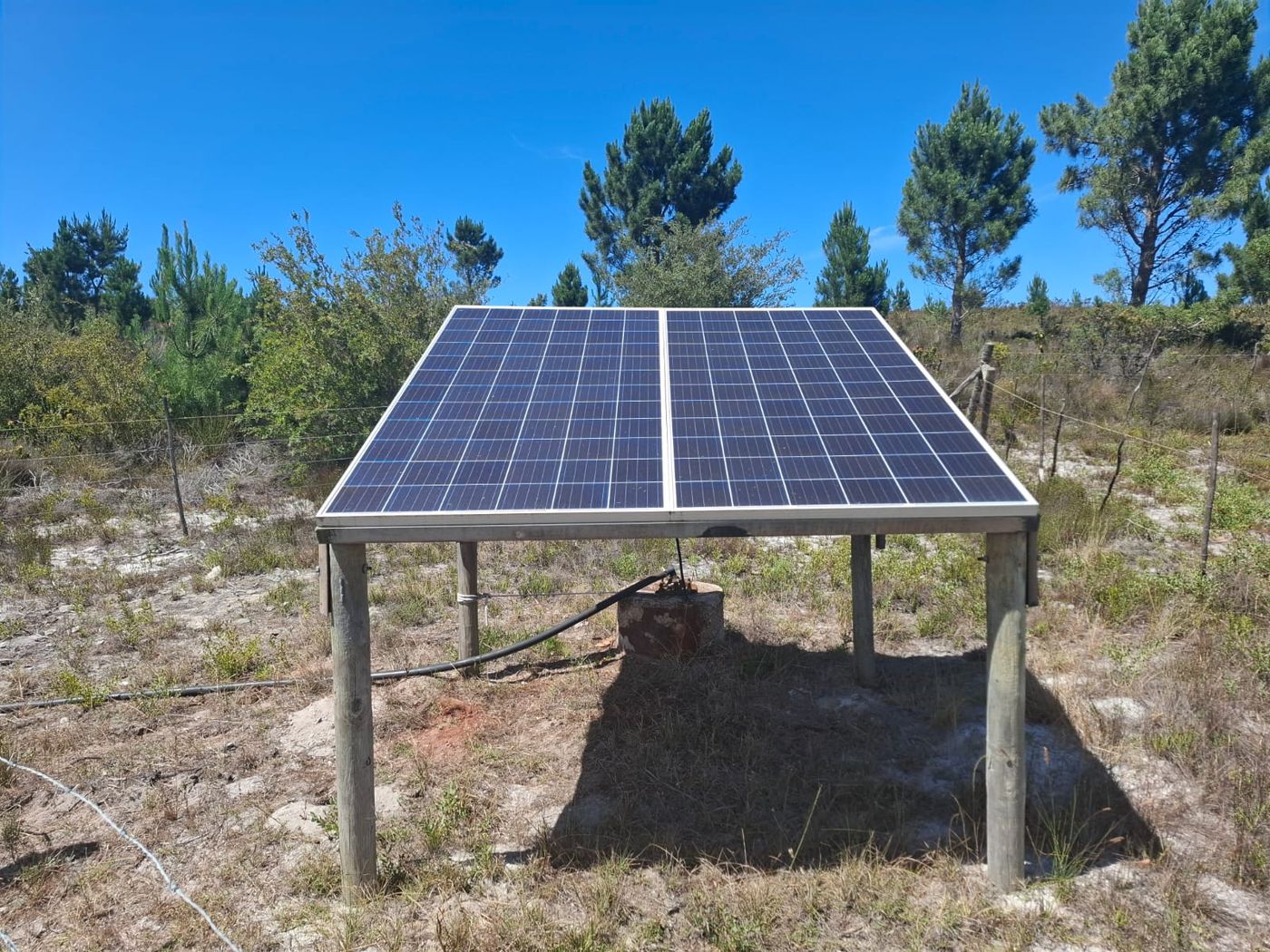Solarmodule auf einem Holzgestell neben einem Pumpenkopf, dahinter Kiefern