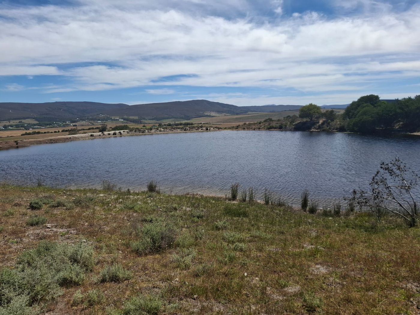 Offenes Wasser mit Schilf am Rand, dahinter Ackerland und die Hügel