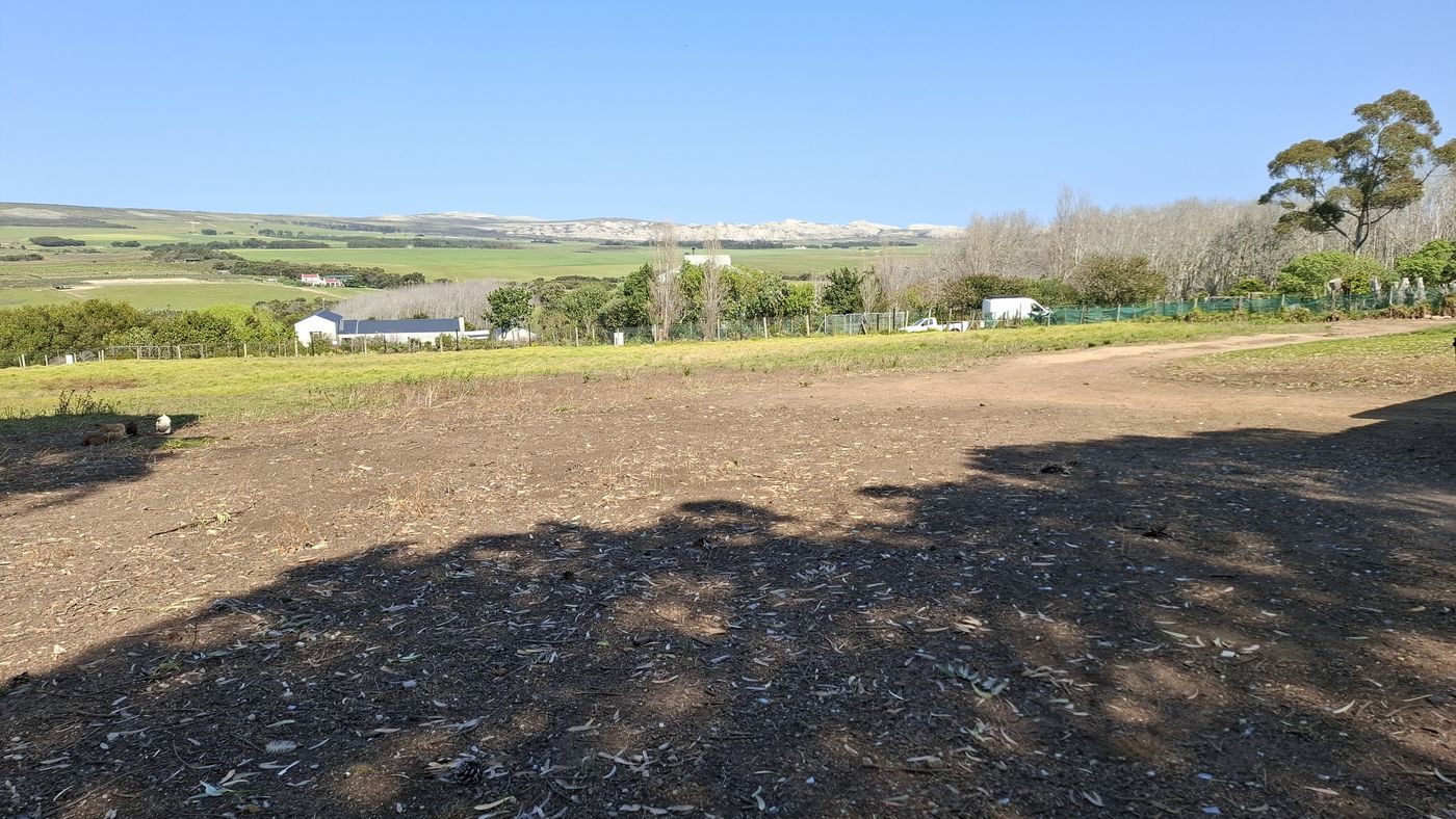 Geräumtes Gelände im Schatten der Bäume, dahinter Ackerland bis zum Horizont