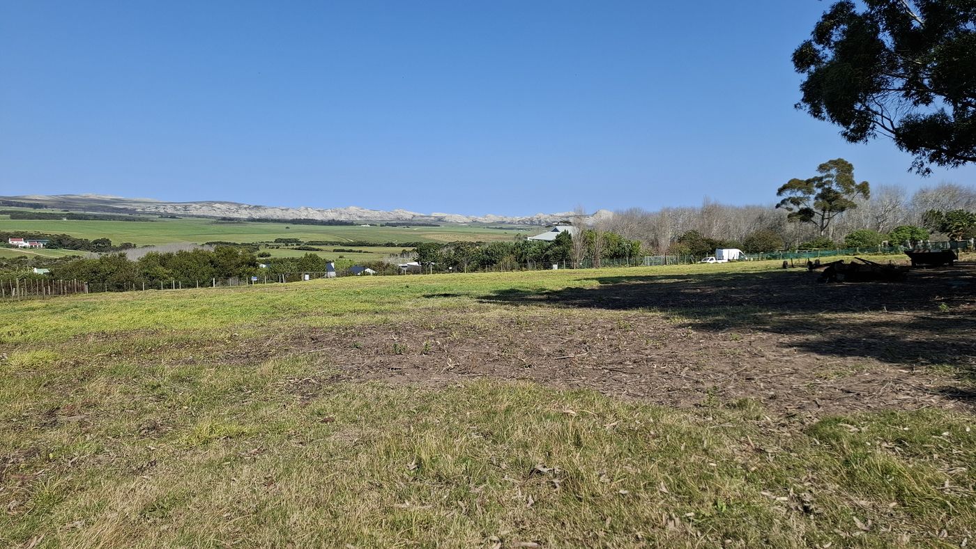Open grass under a tall tree, with the valley and farmland beyond