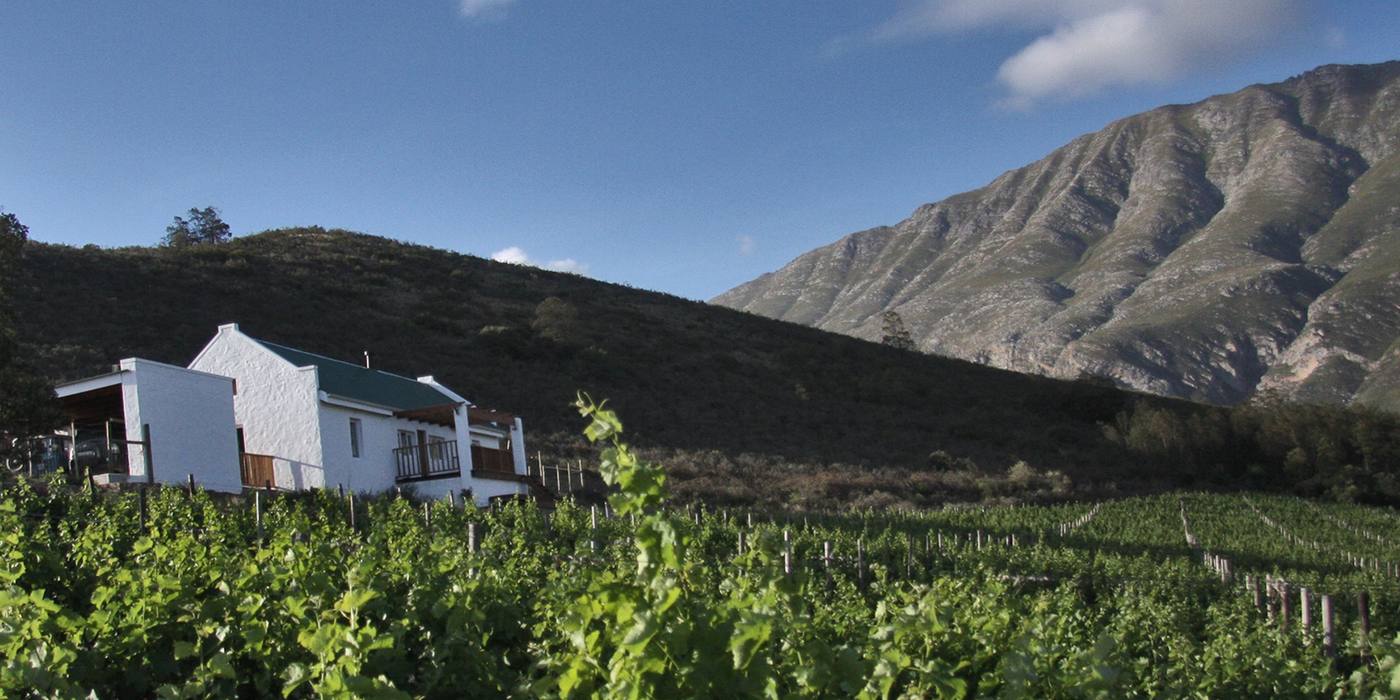 The mountain cottage on the slope above the vines, with the peaks behind