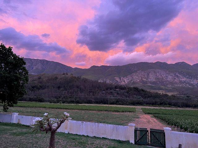 The farm gate and its white wall under a pink and purple evening sky