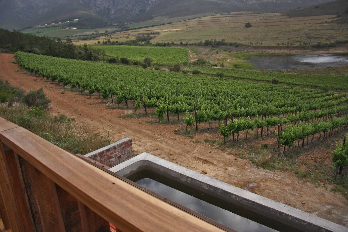 The vineyards seen from a deck beside a plunge pool, with the valley opening out beyond
