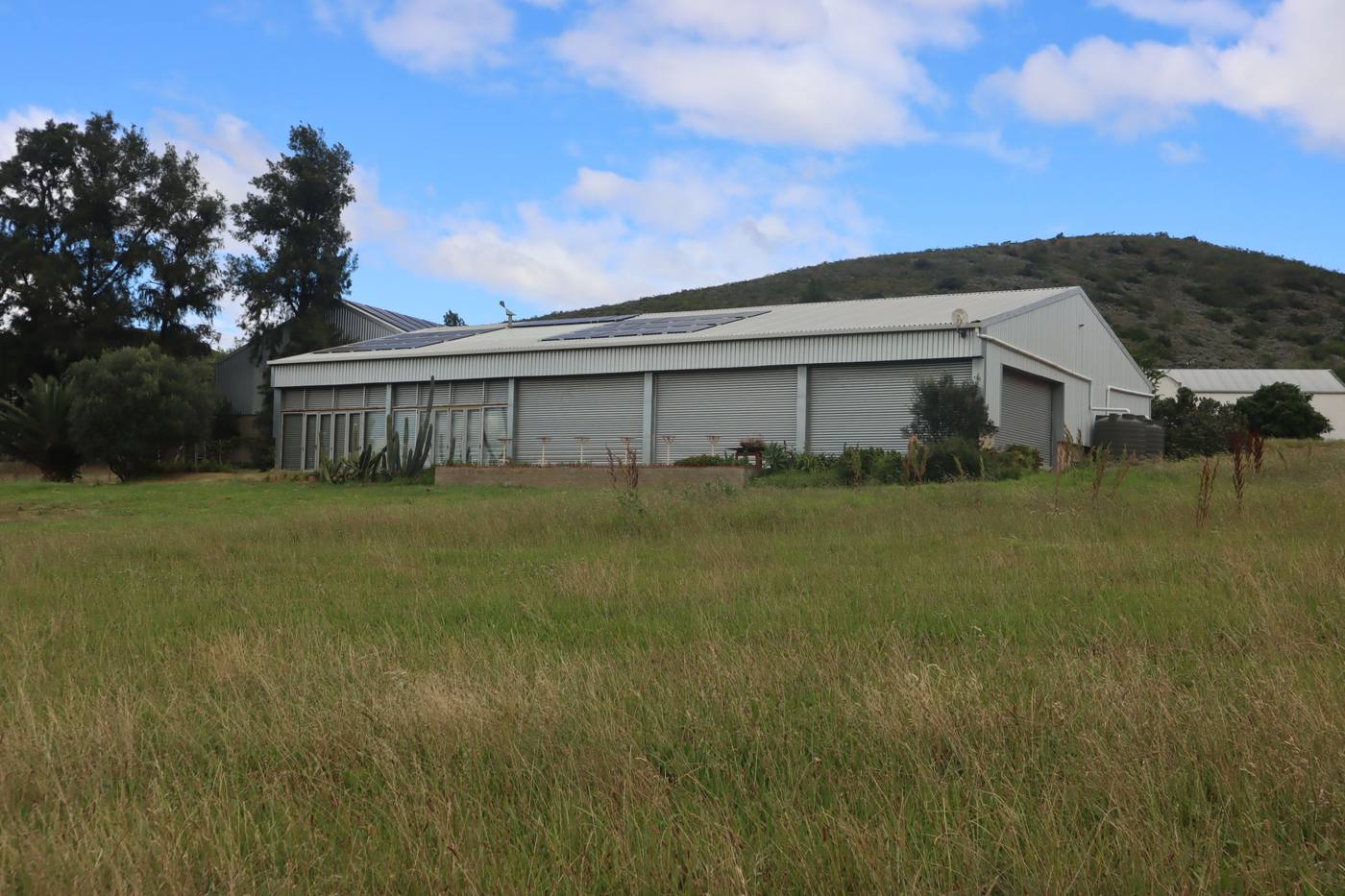 One of the farm's large steel sheds, beyond a field of grass and a row of trees