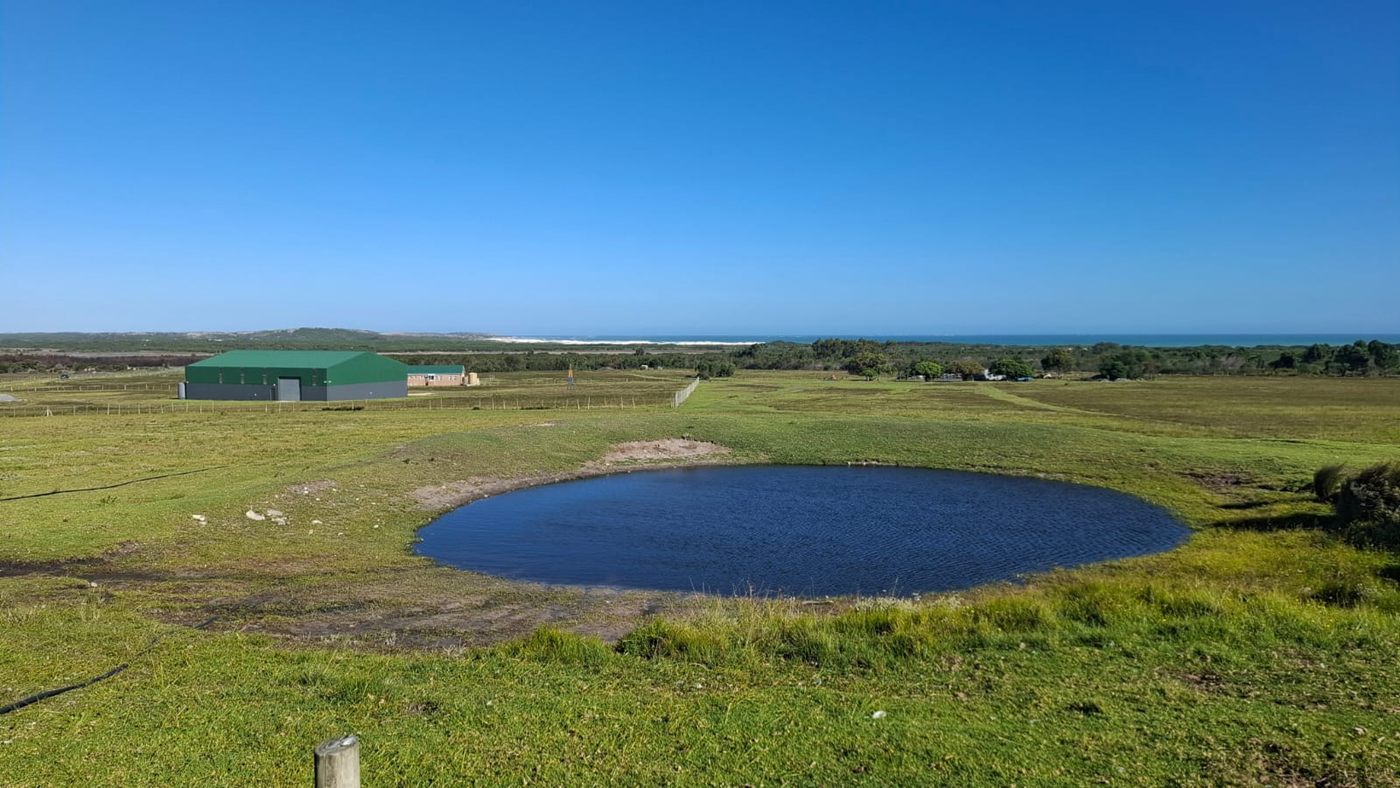 Ein voller Erdstaudamm im Weideland, dahinter die Halle und das Meer