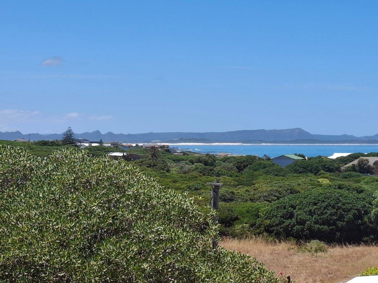 Fynbos running down to the bay, with the far coastline and mountains on the horizon