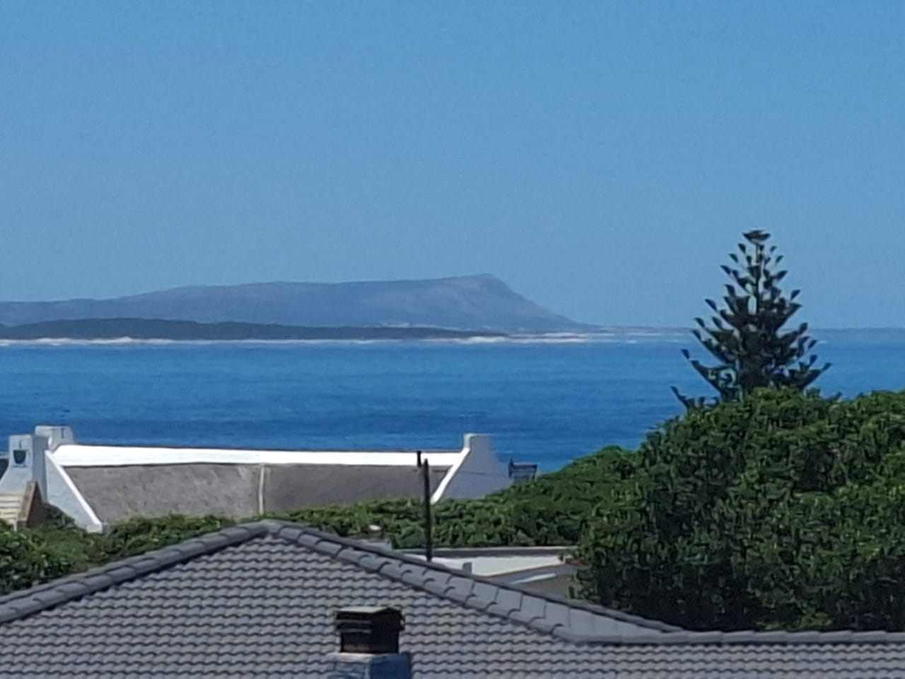 Sea and a long headland beyond the rooftops, with a pine tree on the right