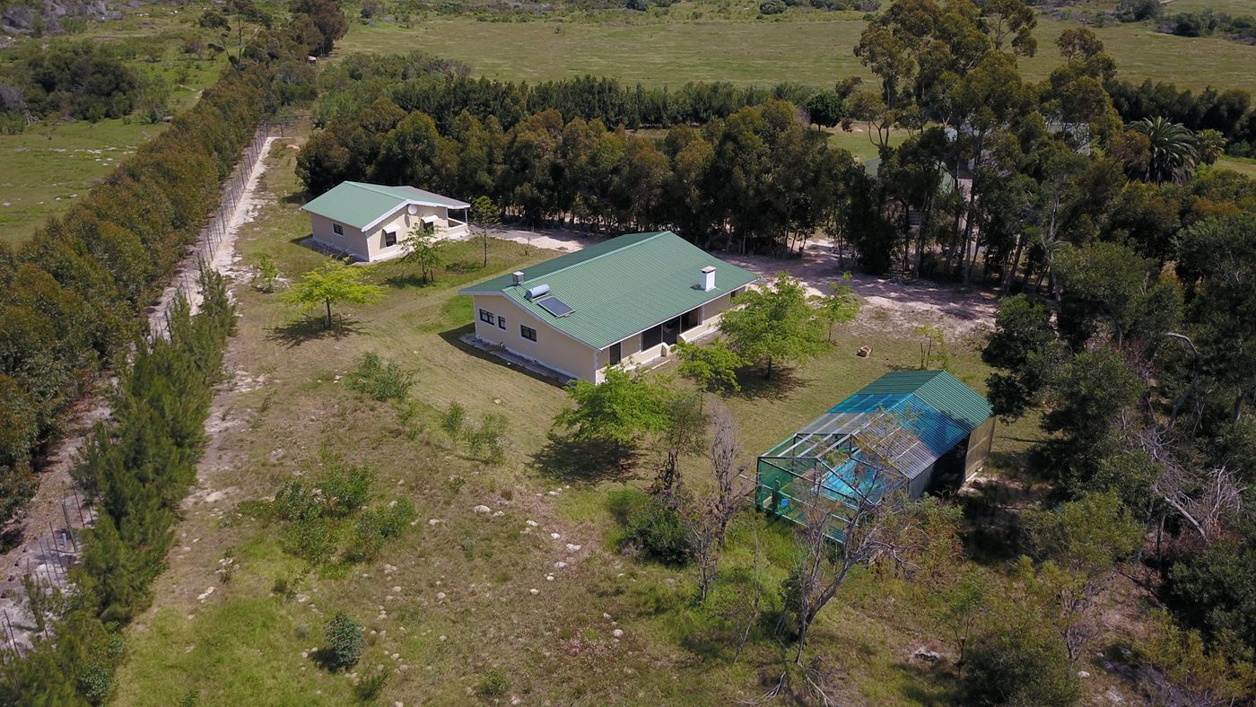 From the air: two smaller houses with green roofs and a shade-net enclosure among the trees
