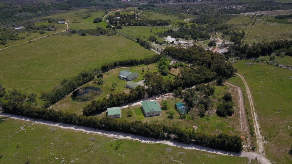 From the air: the farm buildings among the trees, with green camps and farm roads around them