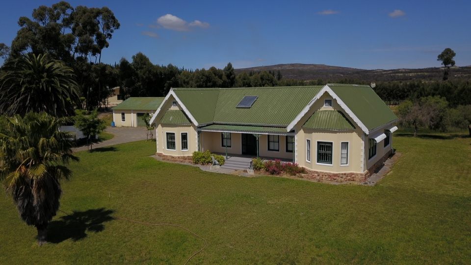 From the air: the homestead with its two gables and green roof, a lawn with palms in front and tall trees behind