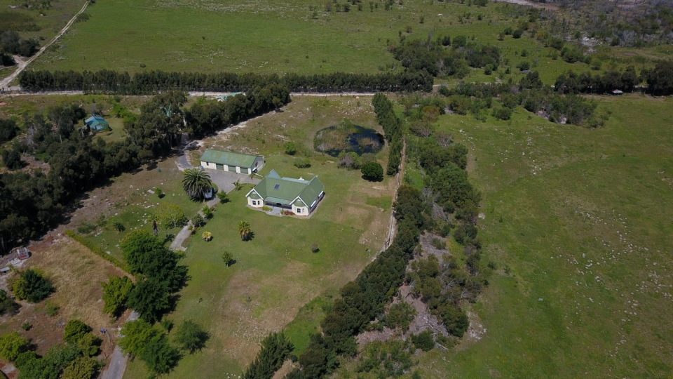 From the air: the werf among the trees, with green camps on both sides and a farm road along the top
