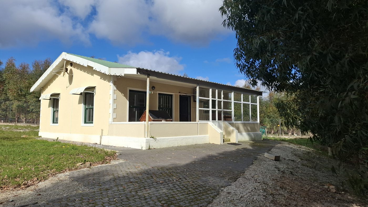 The cottage from the front: cream walls, a green roof and a glassed-in stoep beside a paved yard