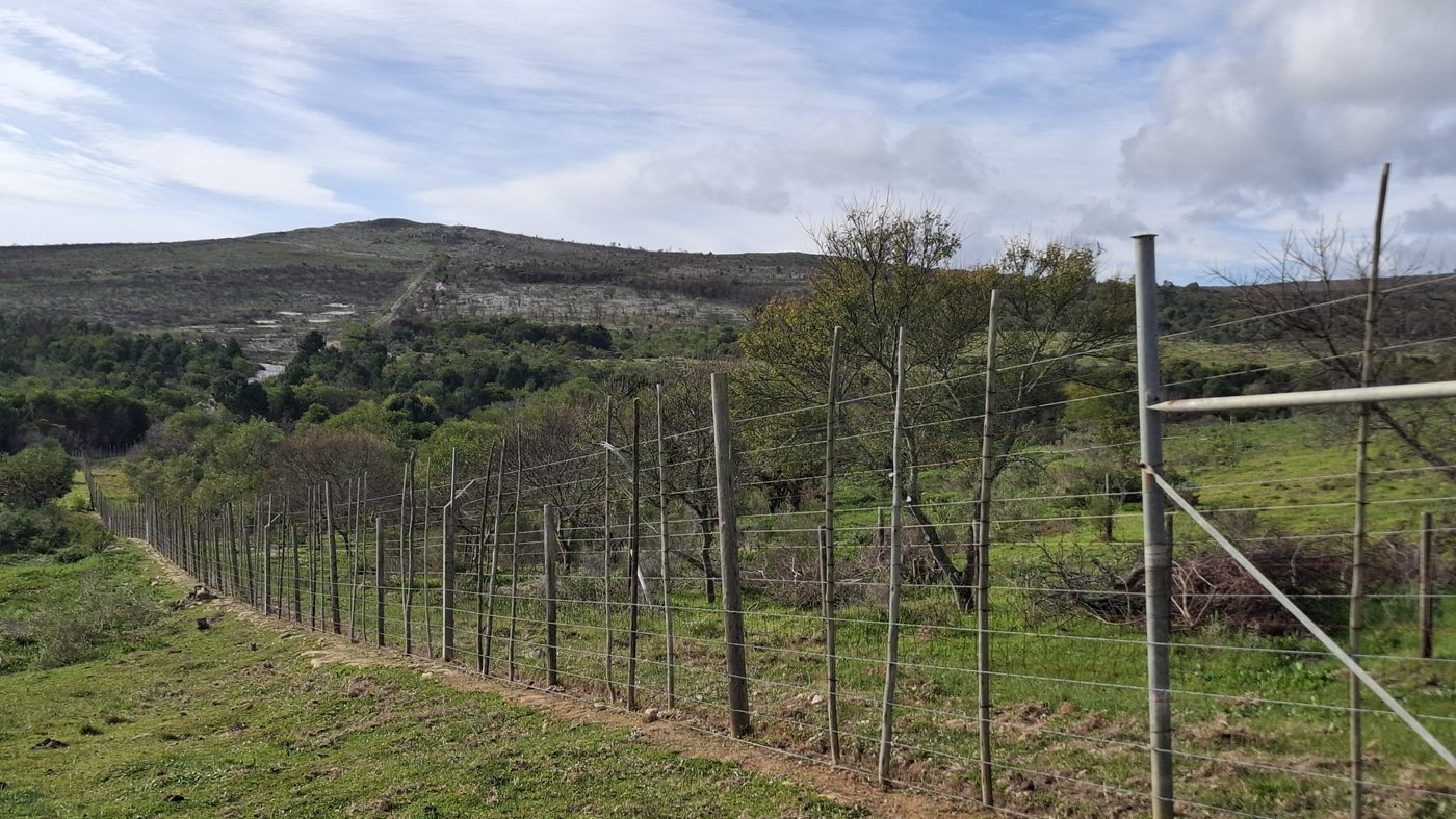 The tall game fence running down the slope, with the hills behind