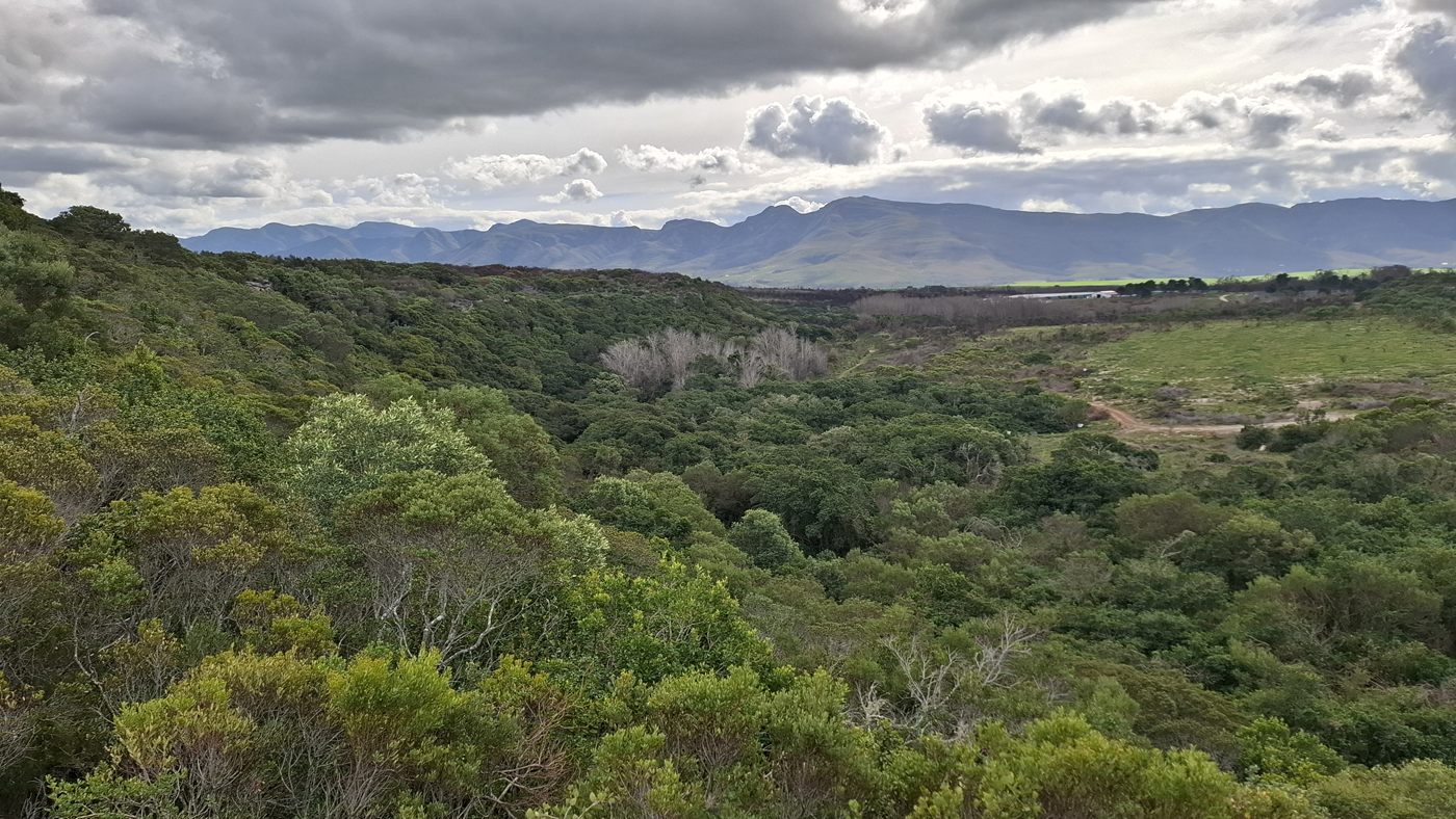 Across the fynbos valley to the mountains, under a cloudy sky