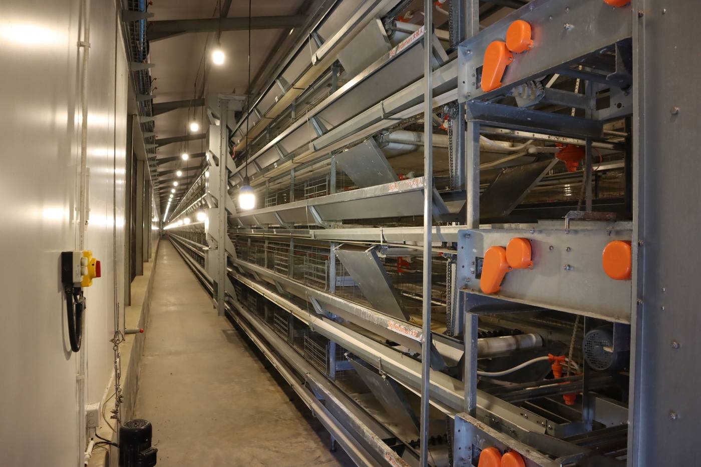 An aisle between the cage tiers, lit from above