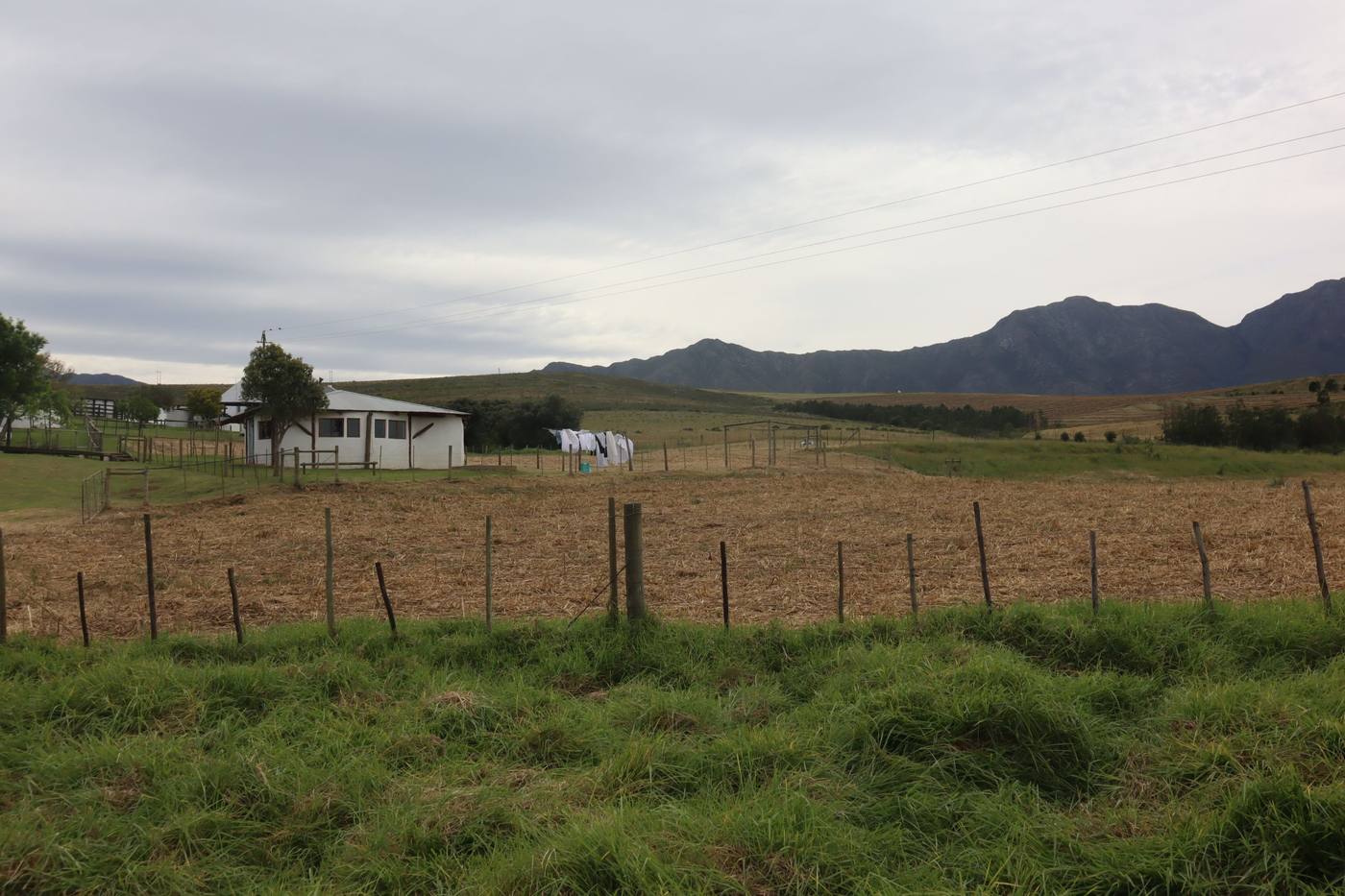Fenced camps running back to the werf, with the mountains behind