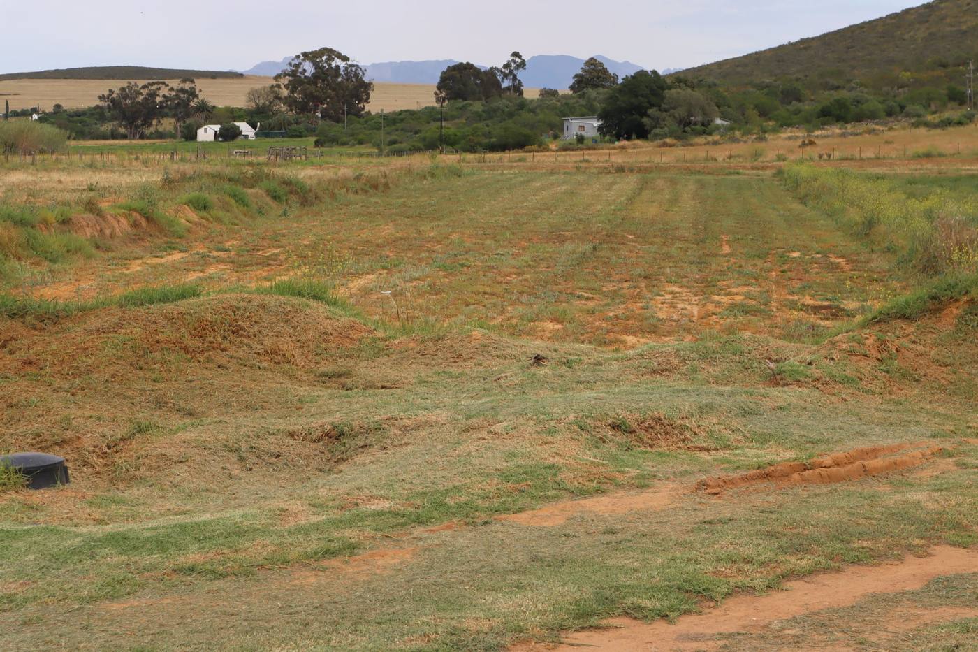 Cleared land in rows, with farm buildings and trees beyond