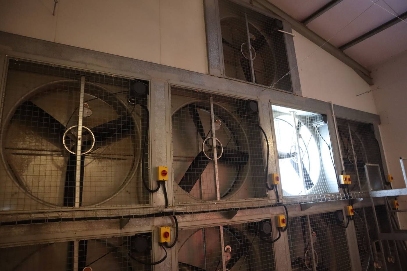 Large climate-control fans set into the wall of a layer house