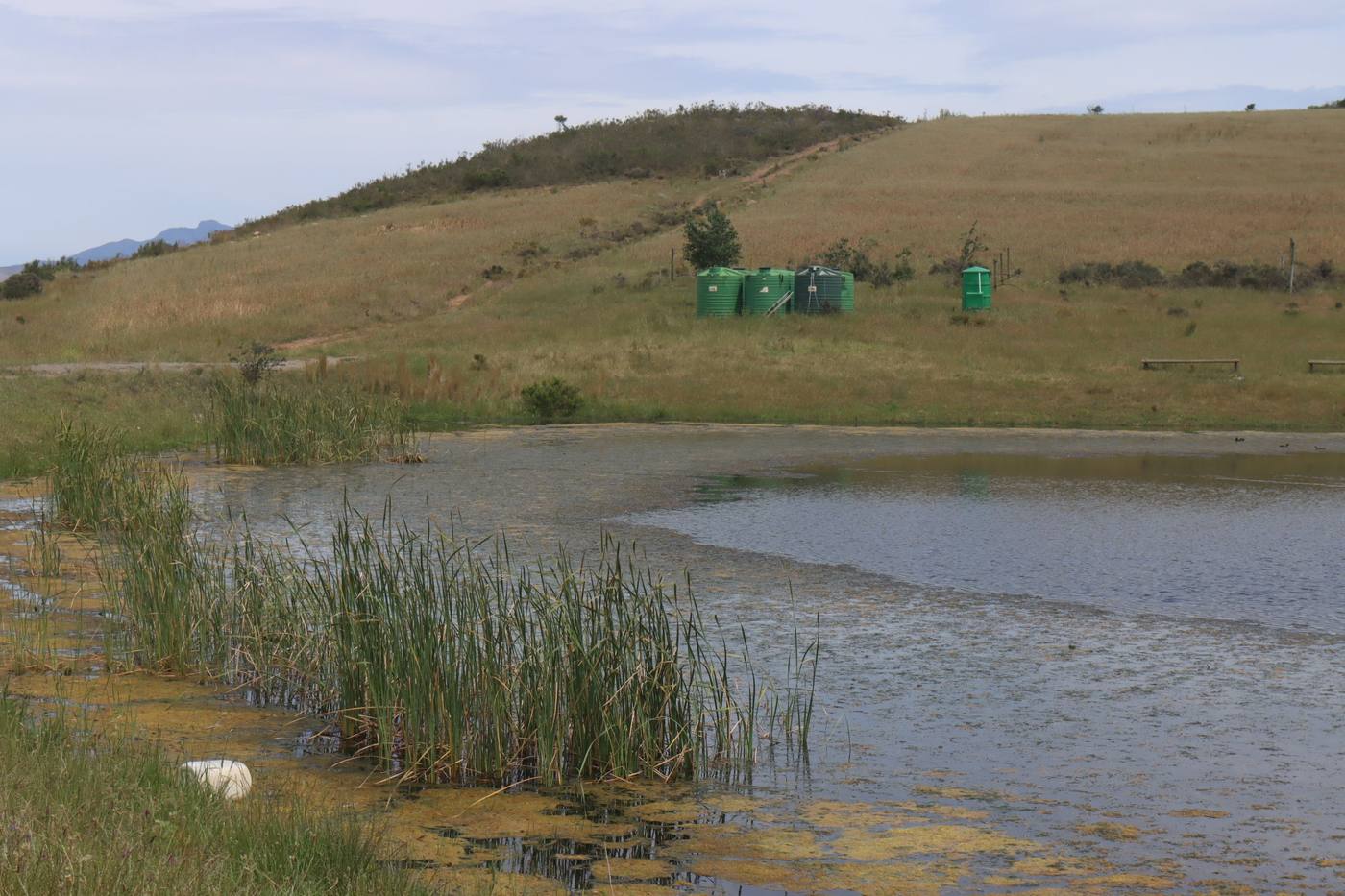 The dam below a slope of fields, with green water tanks on the hillside