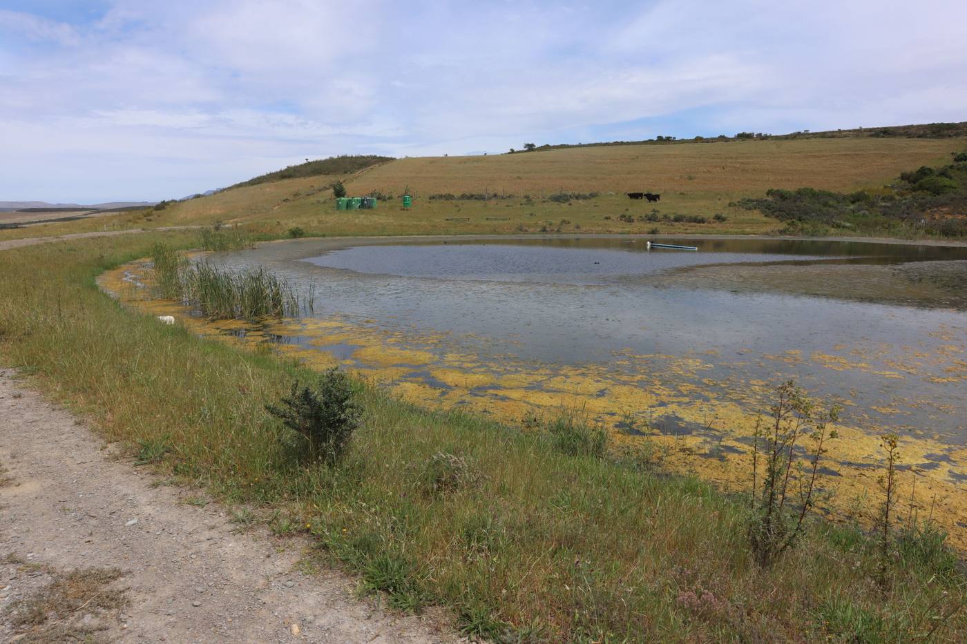 A farm track along the edge of the dam