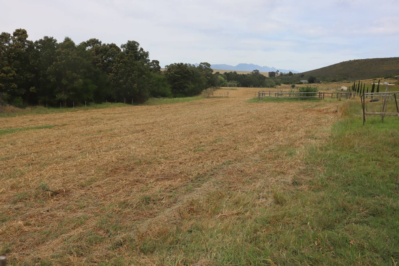 A mown field edged by trees, running towards the hills