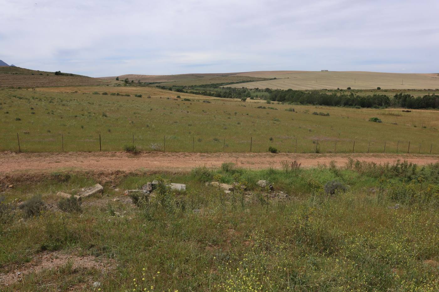 Open grazing and fields under the hills, crossed by a farm road