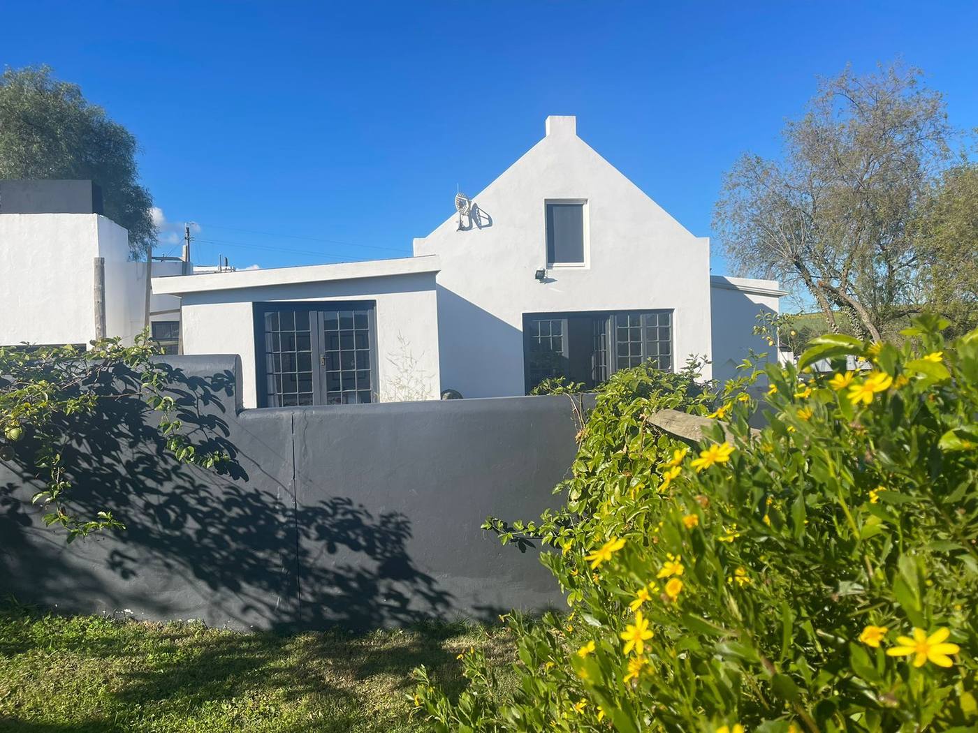 The gable of the main house, with yellow flowers in front and an olive tree beside it