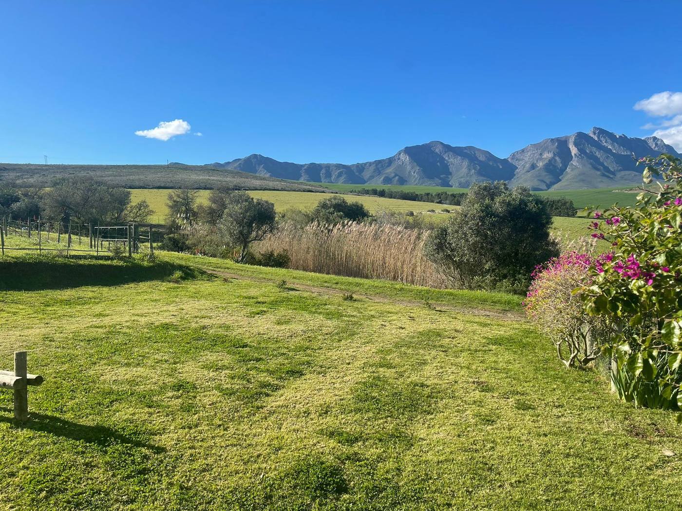 The lawn looking out over reeds and farmland to the Langeberg peaks