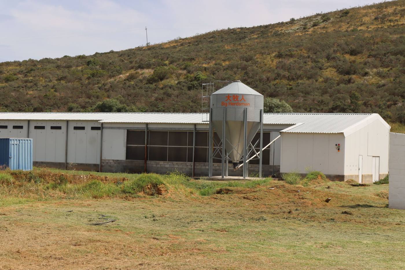 A layer house and its feed silo against a fynbos hill