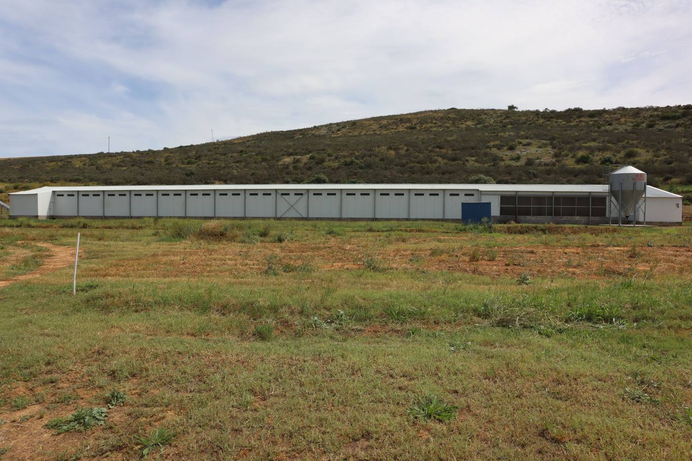The long layer house across the veld, with a silo at its far end