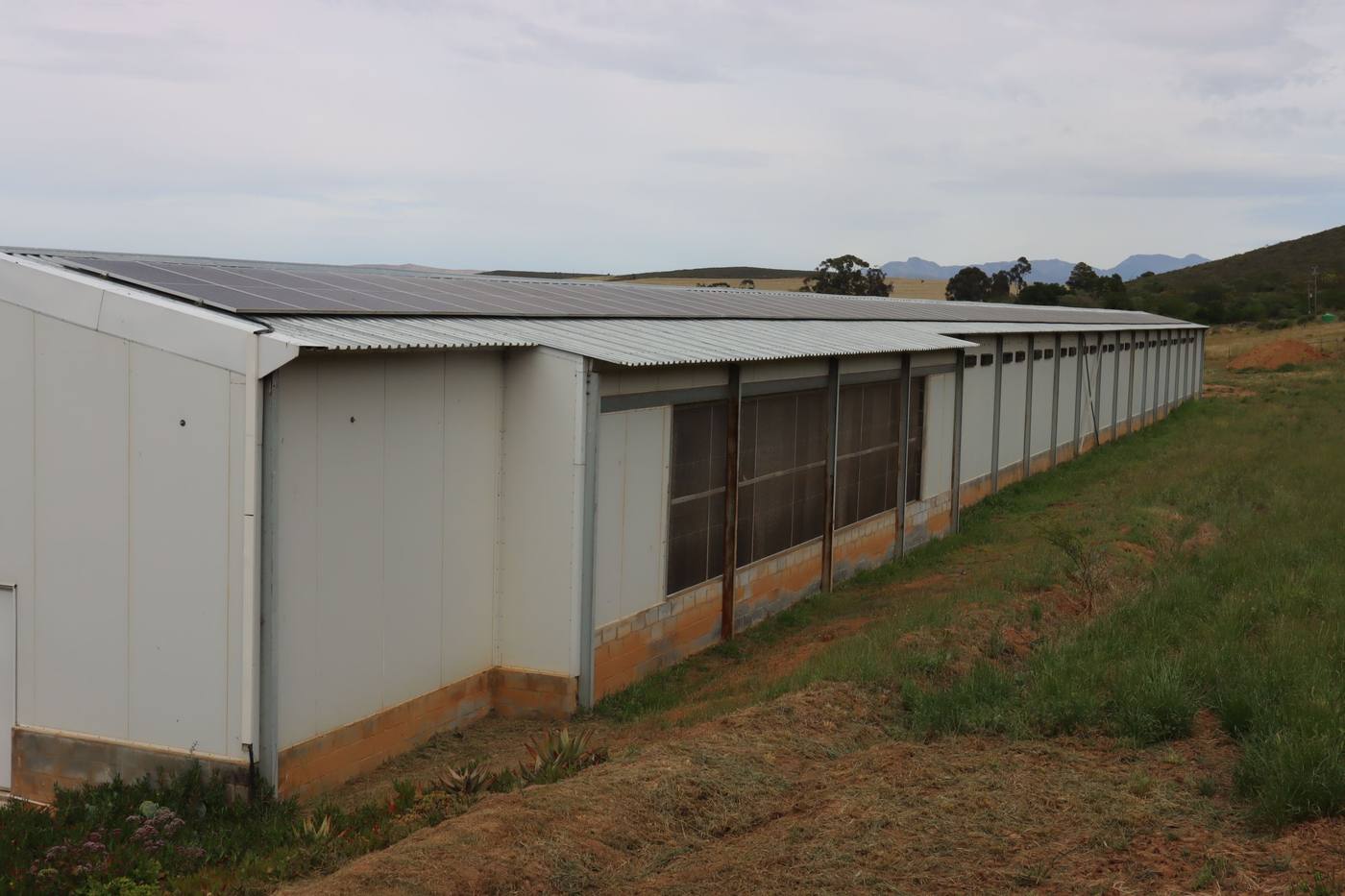 Along the side of the long layer house