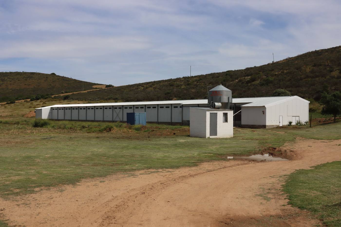 The layer house and its feed silo on the werf, with a sand road in front and a fynbos hill behind