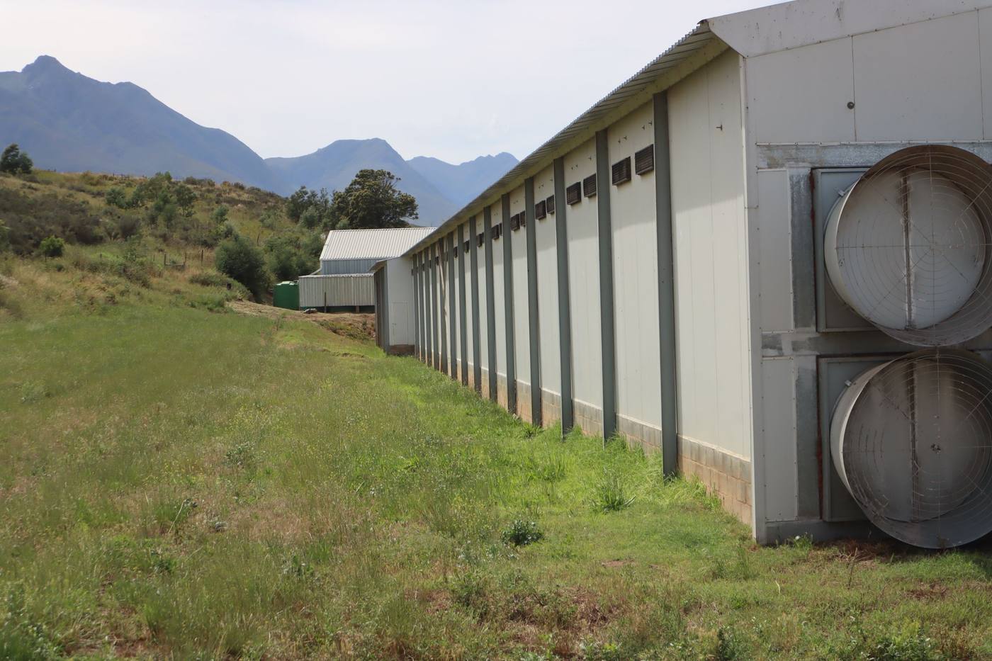 Along the side wall of a layer house, with fans at the end and mountains beyond