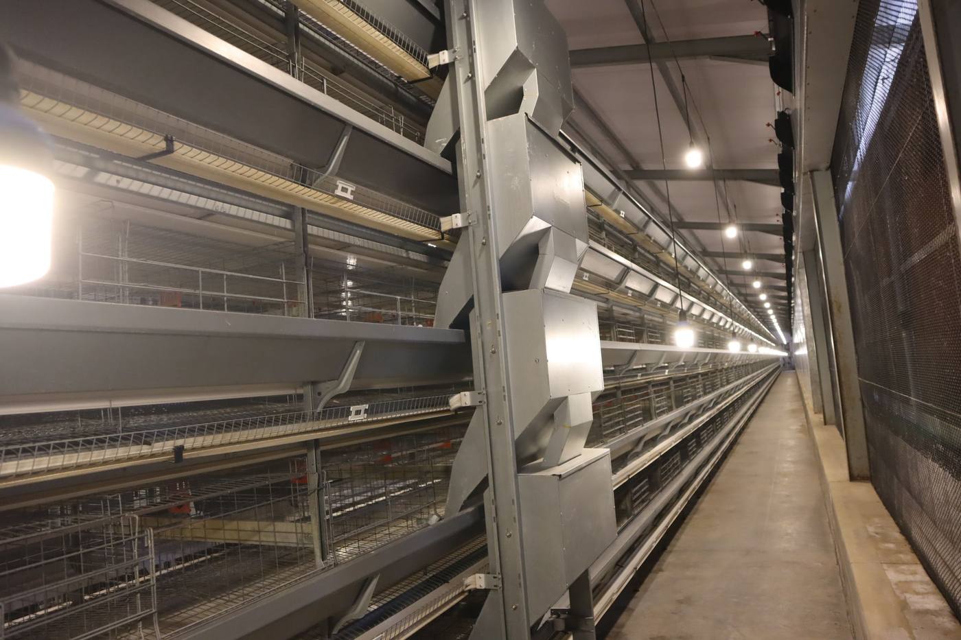 The long aisle between the cage rows