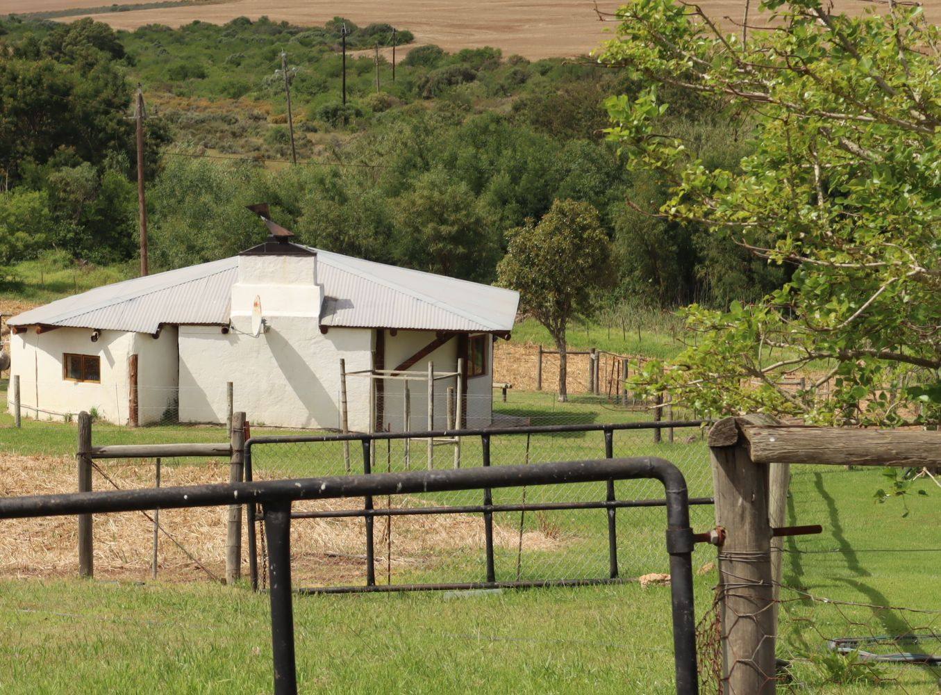 A small white cottage behind a farm gate, with bush and wheat fields behind