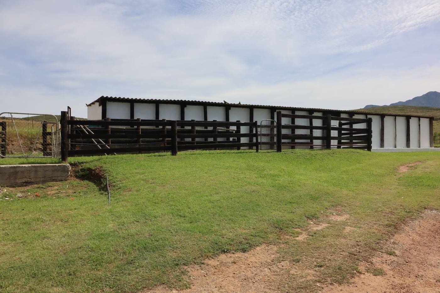 Timber-railed paddocks in front of the row of stables